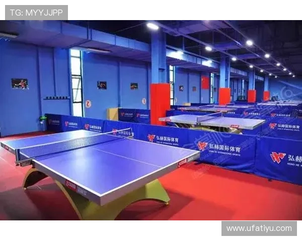 提升您的体育娱乐体验：333体育集团娱乐平台的特色功能与操作指南